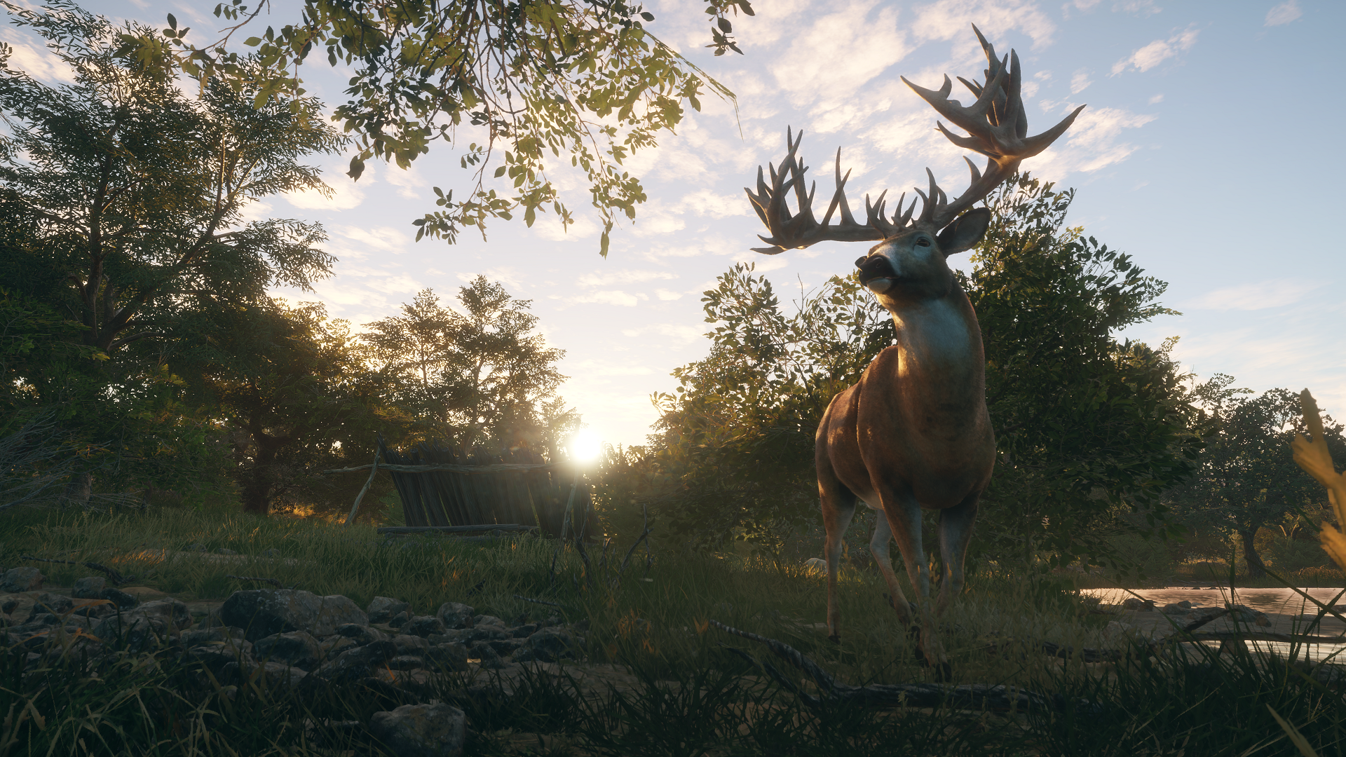 The Hunter Call Of The Wild Rancho Del Arroyo Expansion Adds Five New Animals And More Gamespot