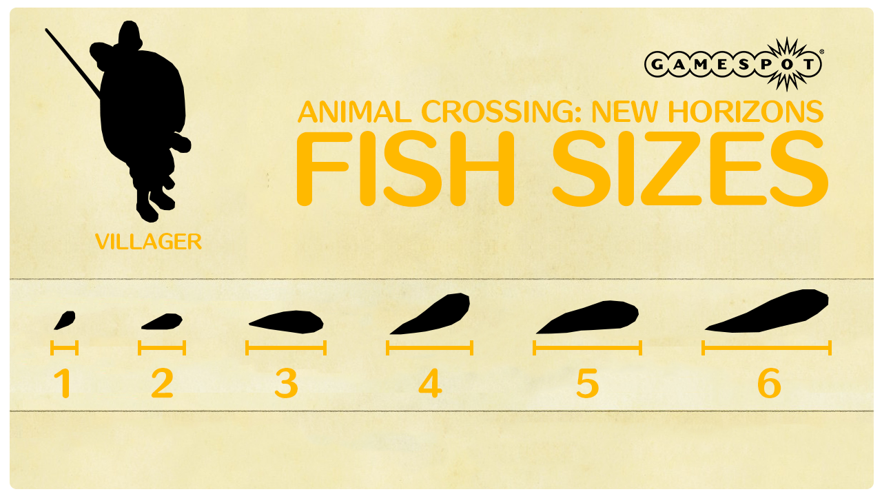 A chart of the standard fish sizes in Animal Crossing: New Horizons.