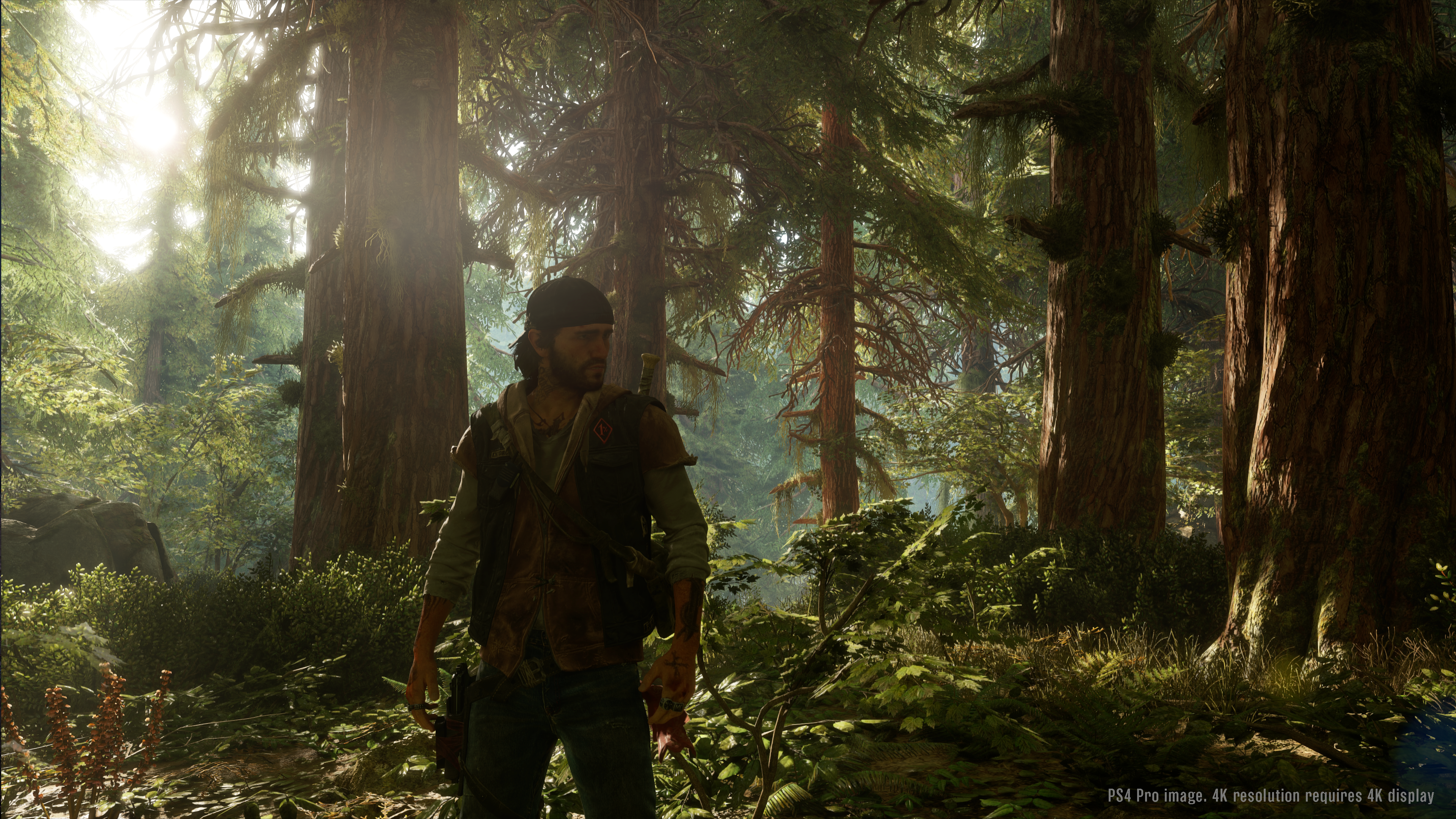 New 'Days Gone' Trailer “This World Comes For You” Confirms Release Date
