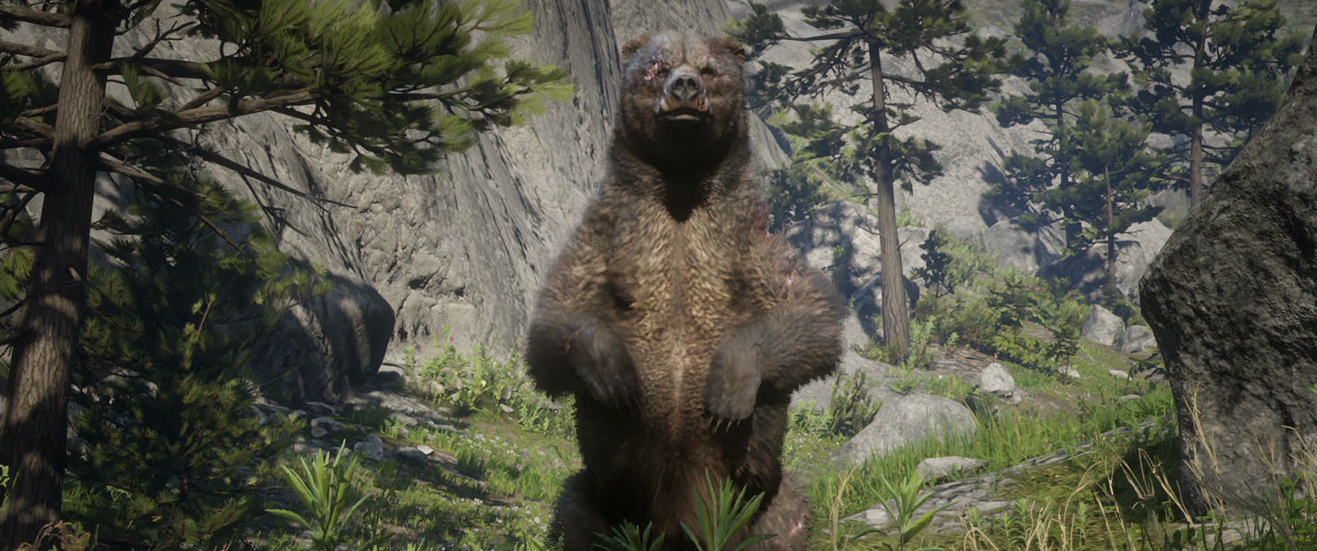 Легендарный медведь рдр