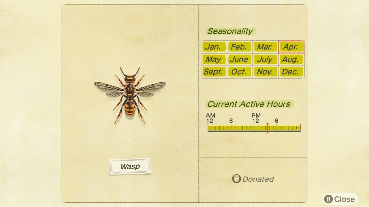 Wasps are active at all times of the year and at all hours of the day.