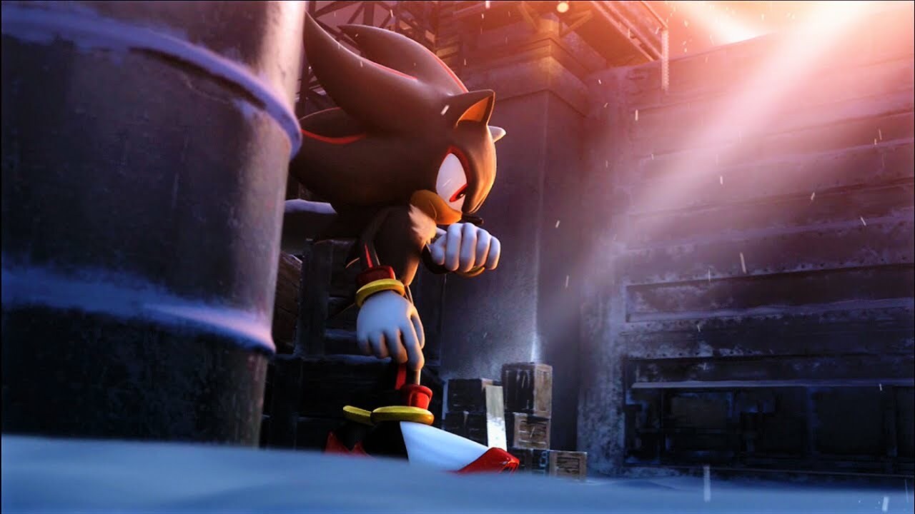 El aspecto vanguardista de Shadow the Hedgehog y su afición por las armas lo han convertido en una especie de meme en la comunidad de Sonic, pero él mismo es un personaje popular.