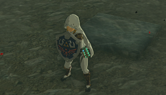 The Hylian Shield can be yours again.