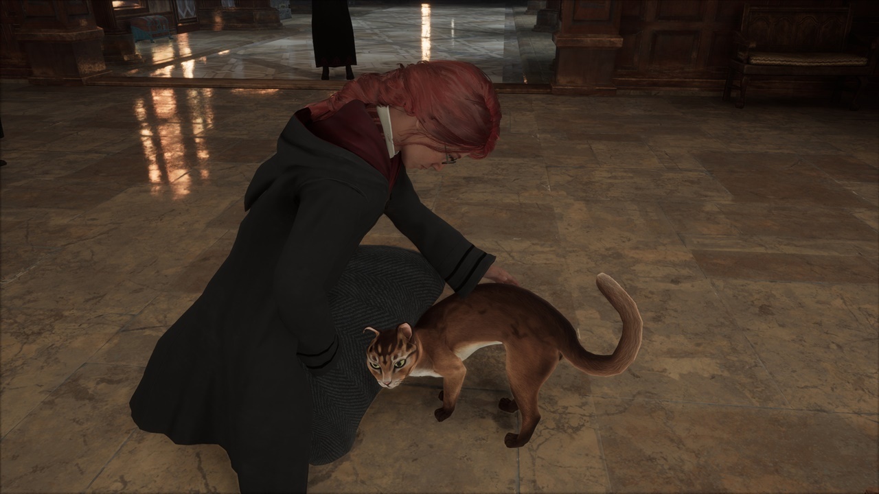 Petting the cats is not a quest, but it's still worthwhile, we think.