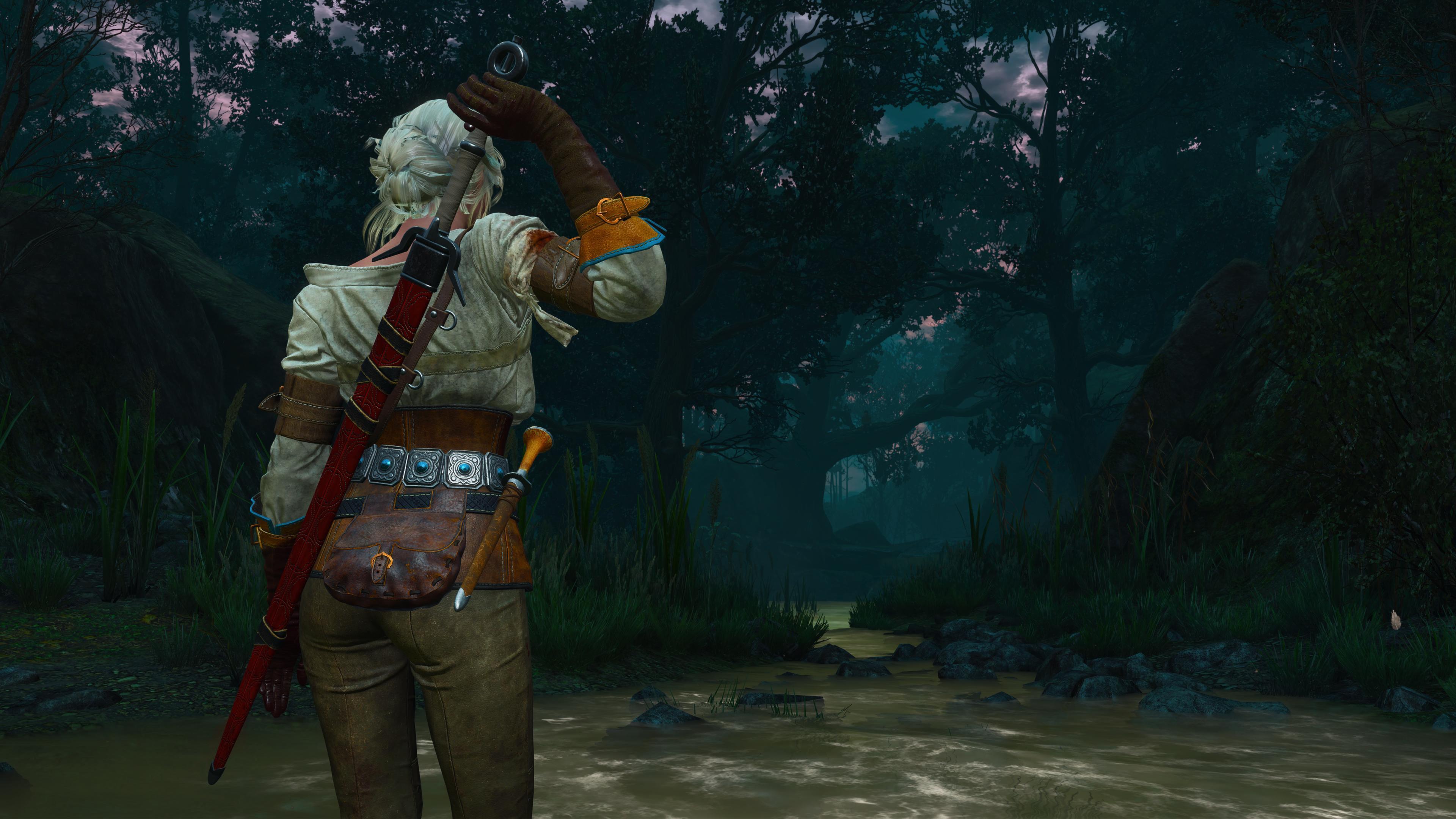 The witcher 3 new quest fool s gold фото 35