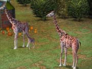Combat makes up the majority of the game, but there are other things--like giraffes--to keep you otherwise occupied.