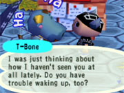 You'll like interacting with the different characters of Animal Crossing.