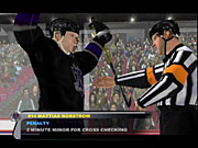 Graphically, NHL 2003 looks only marginally better than last year's version.