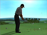 The game starts off with a helpful tutorial that explains the game's now-standard analog swing system.