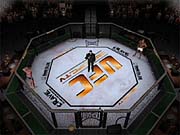 The action takes place in the steel confines of the Octagon.