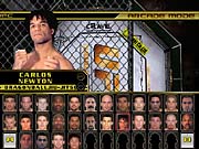 Fans of UFC will be pleased by Throwdown's roster on the GameCube.