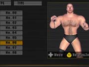 You can create plenty of wrestlers using the toolset.