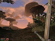 The world of Morrowind is huge and richly detailed.
