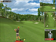 At 1024x768 resolution, Links delivers impressively clean, rich scenery. Sadly, everything but the golfers, the ball and the pin flag is totally stationary.