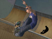 If you like action games, you'll love Tony Hawk 3.