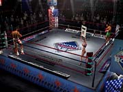 The sights and sounds of boxing are extremely well recreated in Mike Tyson Heavyweight Boxing.