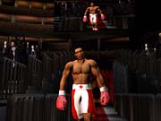 16 real-life boxers are included in the game, including some from locales as exotic as Canada.