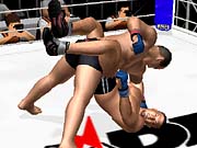 Pride FC brings mixed martial arts to the PS2.