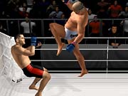 The game features some of the greatest fighters in the world, such as Vanderlei Silva.