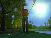 The game starts off with a helpful tutorial that explains the game's now-standard analog swing system.