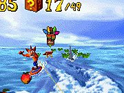 Crash is water-skiing, with a shark in pursuit.