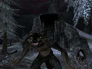 There's a real chance that you can turn into a werewolf, which will add a new role-playing challenge. 