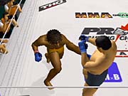 Pride FC delivers deeper, more fluid gameplay than any mixed-martial-arts game before it.
