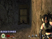 Tenchu: Wrath of Heaven is the third installment in this genre-defining stealth action series.