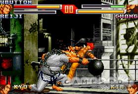 Bigger is usually better in fighting games, and Chang and Reiji are easily two of the largest characters to appear in a GBA game.