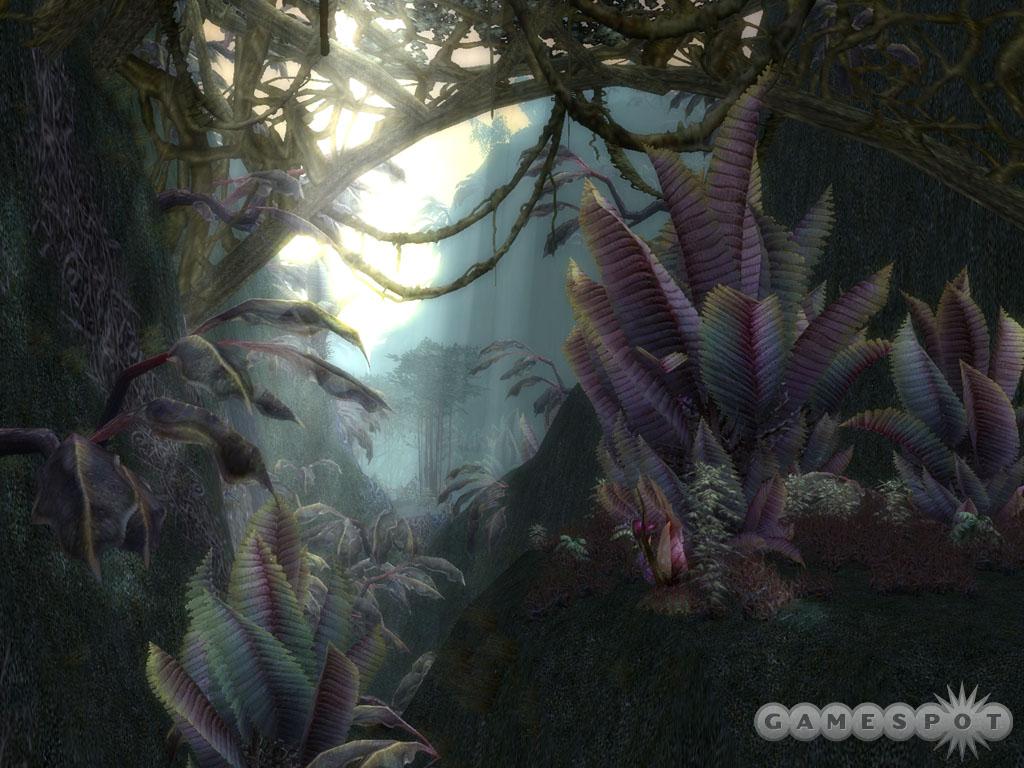 Guild Wars features a lush world.