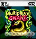 Multiplayer Snake is like Snake...only it's multiplayer!