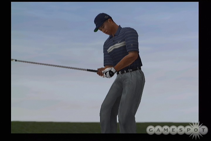 Online golfing can help give Tiger Woods 2005 some longevity, at least on the Xbox and PS2.