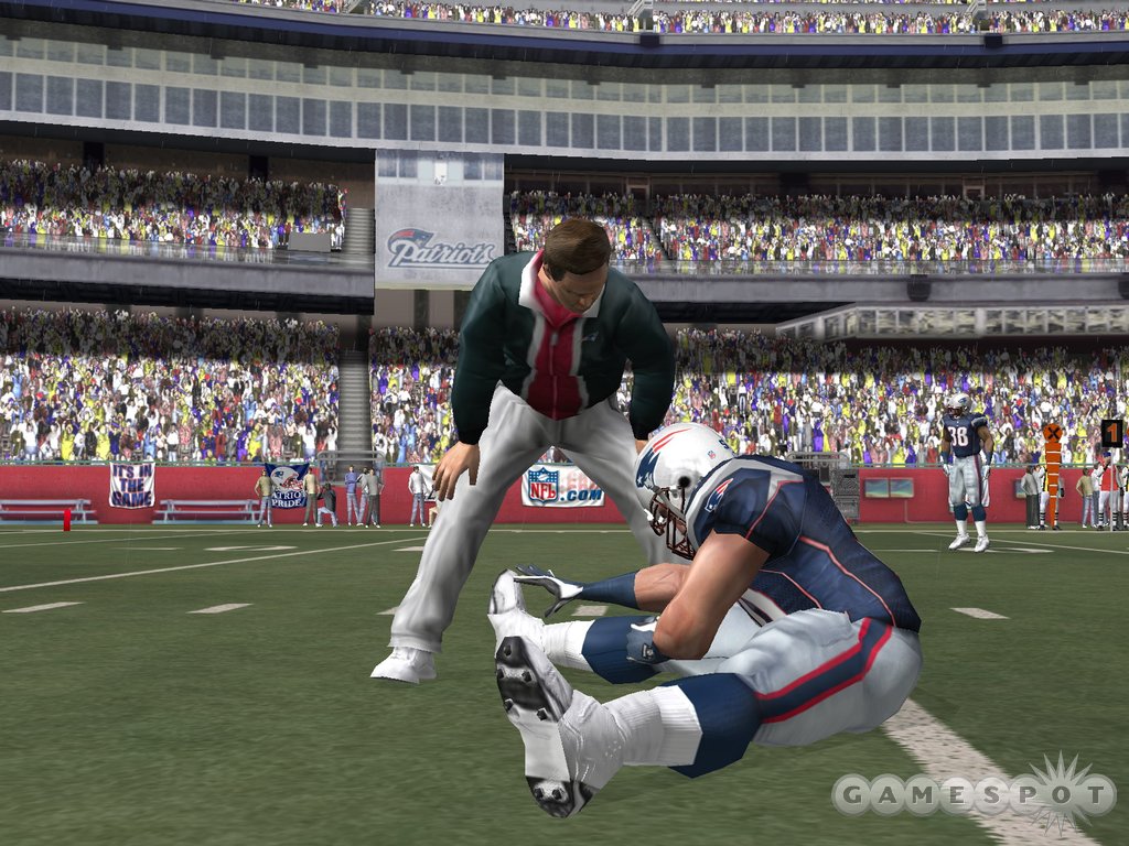 Graphically, Madden on the PC seems a little uglier up close than it does on consoles.