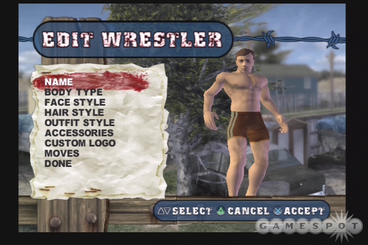 The game's create-a-wrestler mode gives you a wide range of options for your custom grappler.