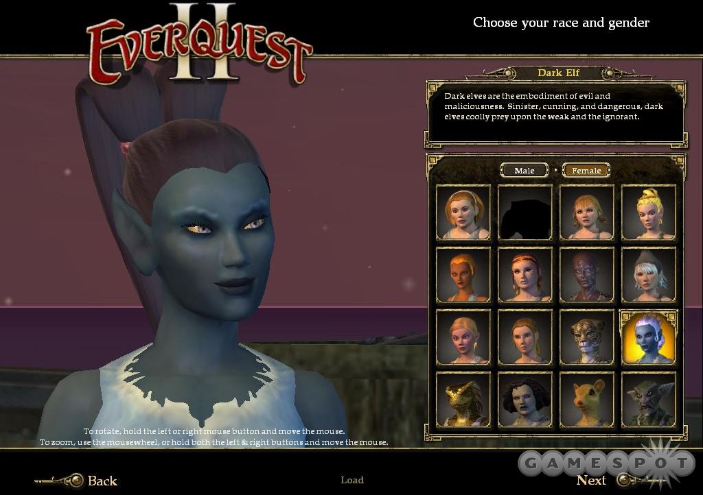 The wide assortment of different character races and classes is one of the game's most compelling features.