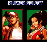 Fans will instantly recognize characters like Terry and Mai in this faithful adaptation of the popular fighting game series.