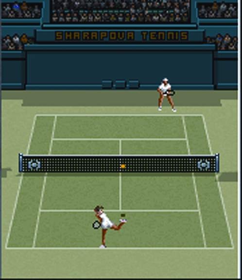 This tennis game has enough depth to keep tennis fans on the court for a good long while.
