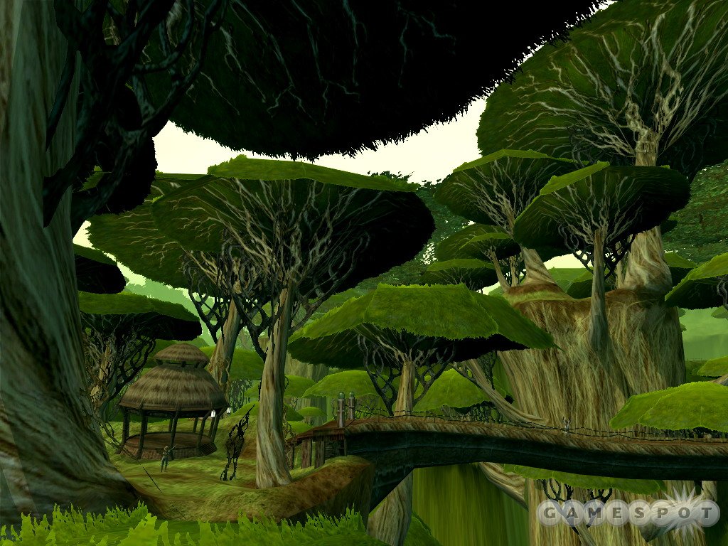 Kashyyyk is home to the wookiees, as well as some huge trees.