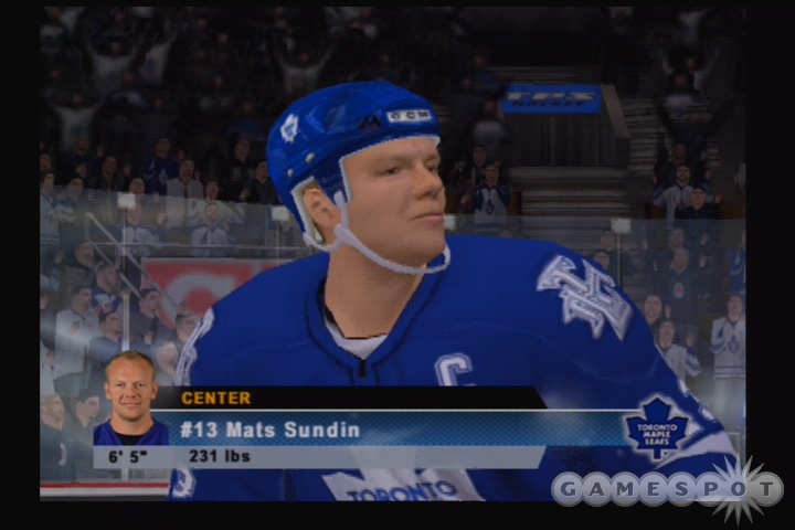 It's great to see you guys again. NHL 06's player models sure do look nice.