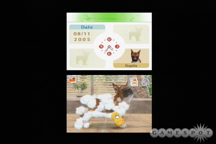 Leave it to Nintendo to make bathing a puppy a fun gameplay feature.