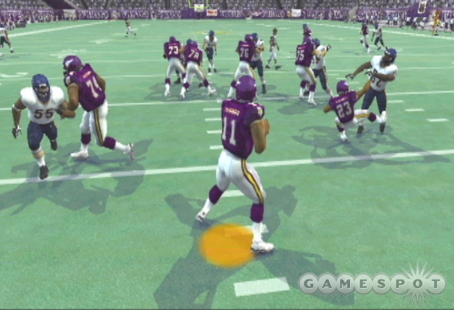 Daunte Culpepper is an awesome blend of power, speed, and awareness.