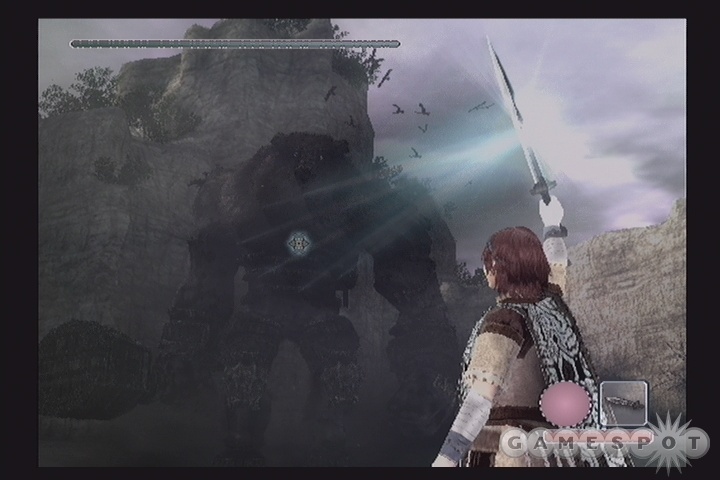 You can use your sword to find the weak spots on colossi.