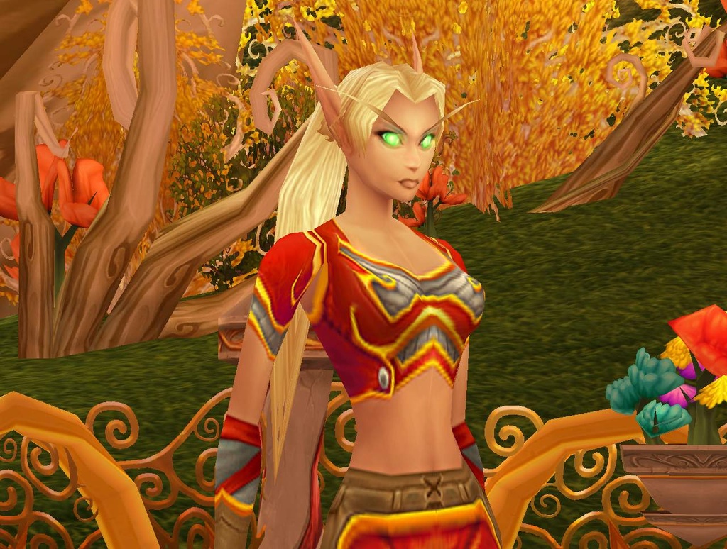 Meet the Blood Elves, one of the two new playable factions in the World of Warcraft expansion.