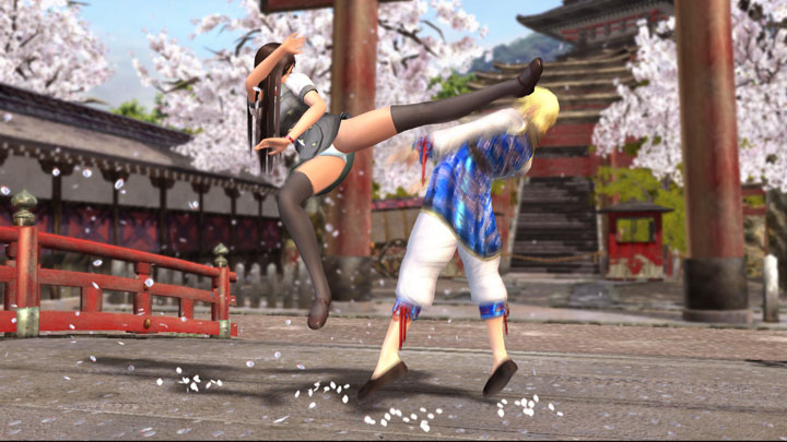 What would a DOA game be without...fighting?