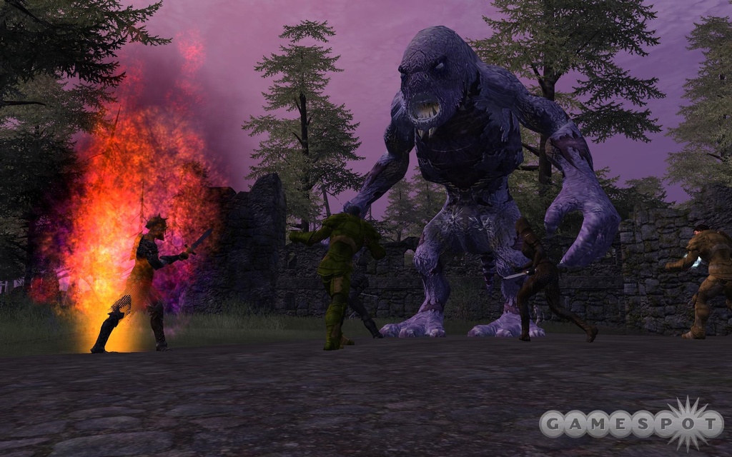 Vanguard will attempt to be the successor to EverQuest and to the stiff challenge that game posed.