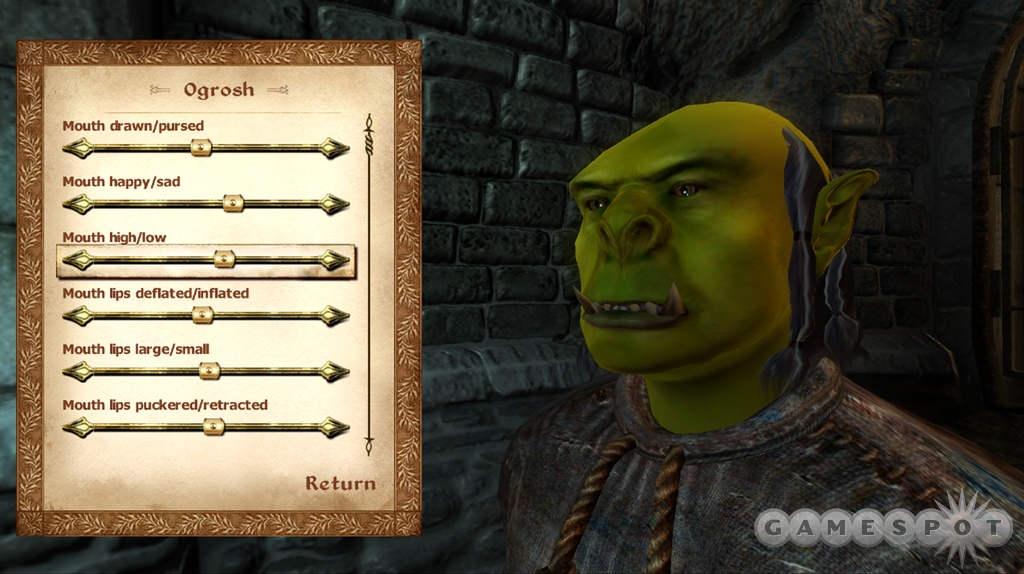 Character creation is an incredibly detailed process.
