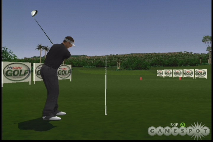 A generic golfer on a generic course in a generic game.