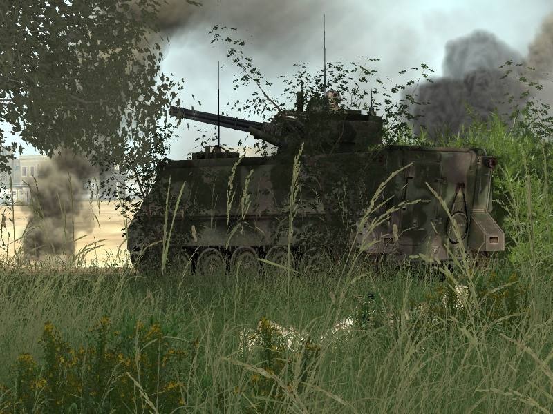 Tanks, planes, and helicopters are among the 30 vehicles you can use in ArmA: Armed Assault.