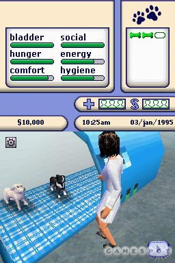 In the DS version of The Sims 2: Pets, you have to diagnose, treat, groom, and play with the animals that other sims bring to you.