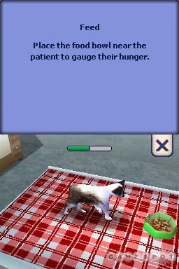 The animals act as if they're bored. They certainly don't frolic like the dogs in Nintendogs do.